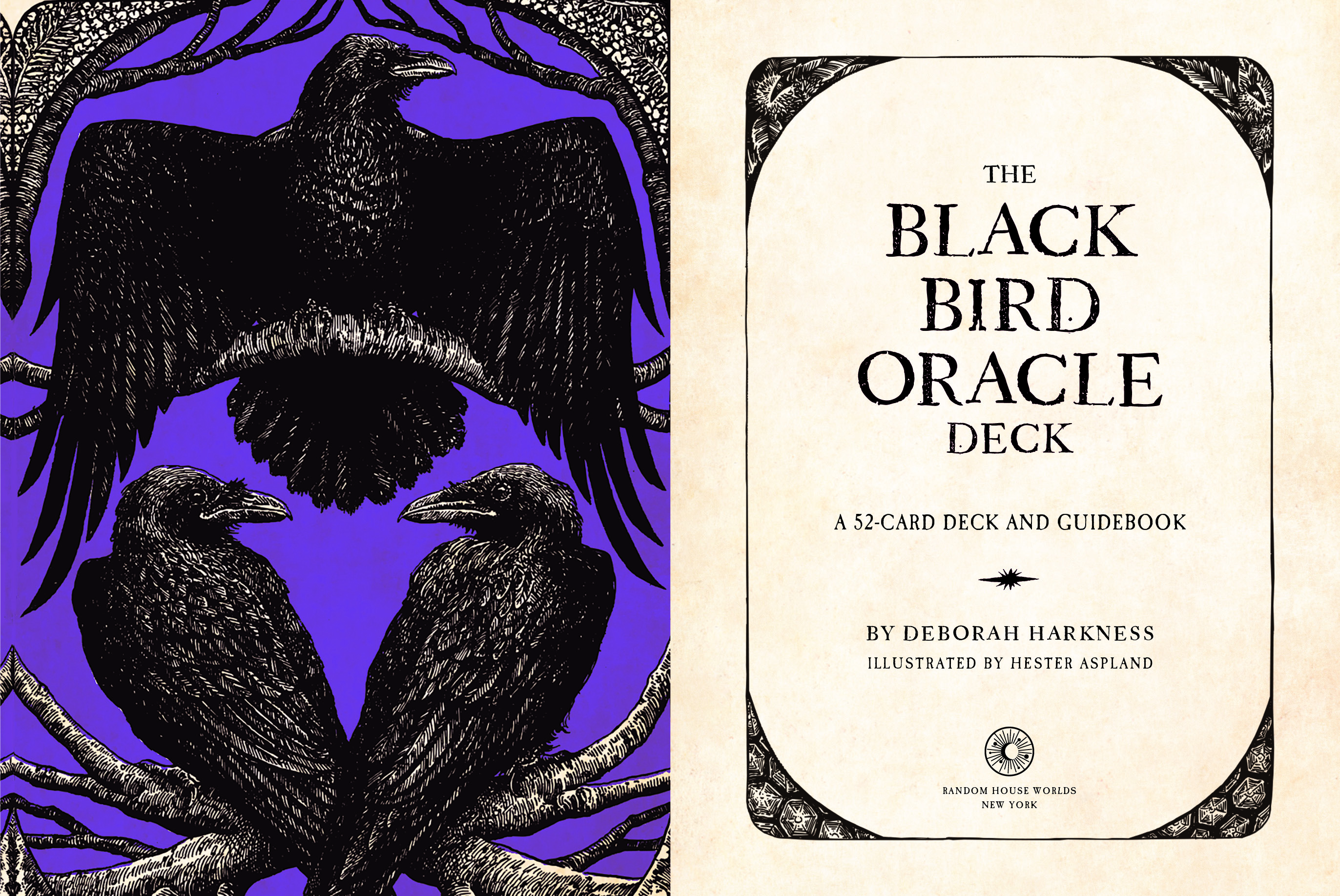 The Black Bird Oracle Deck | Penguin Random House Retail